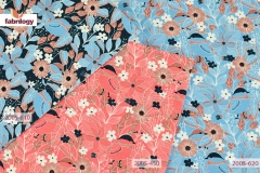 2005_450_620_610_low