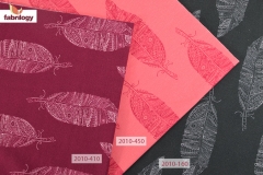 2010_410_160_450_low