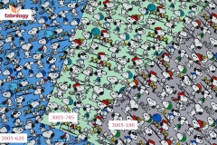 3005_180_620_785_low_new