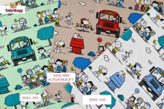 3006_785_880_100_low_new